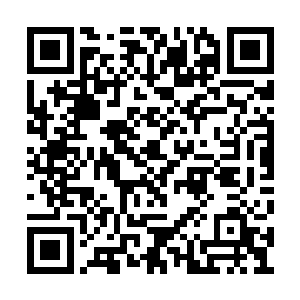 恐怕也无法让一名圣皇强者流露出恭敬的神色吧二维码生成