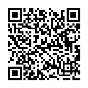 恐怕也是为了防止十殿的人强行搜刮自己的神识海二维码生成