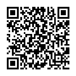 恐怕也是担心因为掌门之子未能从洞天残片活着出去二维码生成