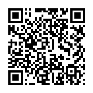恐怕京城那三位圣榜强者的老人在自己三重寸劲下二维码生成