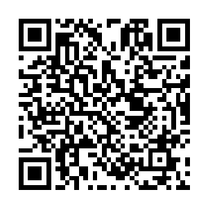 恐怕他们也得落得跟乌溪族那些倒霉玩意一样死无全尸二维码生成