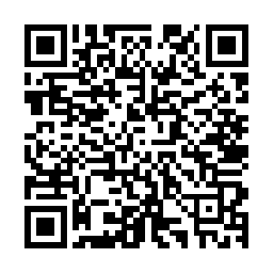恐怕他和夏天都会遇到致命的危险――为什么他没有立即出手二维码生成