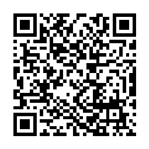 恐怕众人将会再次面临一场毁灭性的空间风刃暴动二维码生成