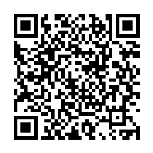 恐怕会直接轰破和自己同阶的修士释放出来的法术二维码生成