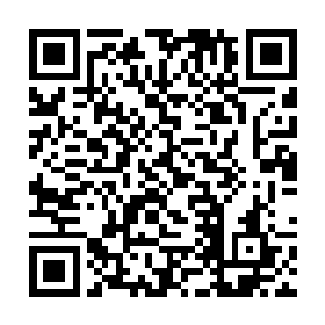 恐怕你们一进入就立即被魔音贯魂自动奉献出自己了二维码生成