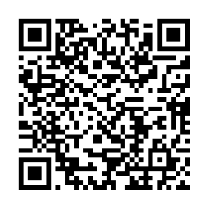 恐怕你我都没有想到过小刚能够一个人独立的生活吧二维码生成