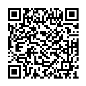 恐怕再用不了一会儿就会被那只火云兽咬死……二维码生成