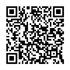 恐怕单单一个木劲峰也不会在意自己的反对声的二维码生成