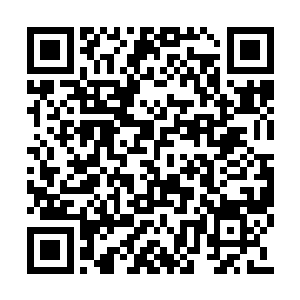 恐怕即使是所有鱼人的头领也没有资格住在这里二维码生成