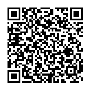 恐怕只有像龙傲天这种身怀无数神奇功法传承的人才会无视这些功法吧二维码生成