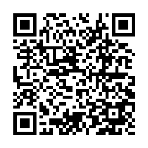 恐怕只有刚刚施展了飞针绝技的孙子轩能够做到吧二维码生成