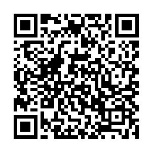 恐怕只有天人交感及以上境界才能靠着与天地的沟通二维码生成