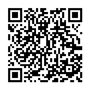 恐怕只有彼岸者的争斗才能造成真的分裂与毁灭二维码生成