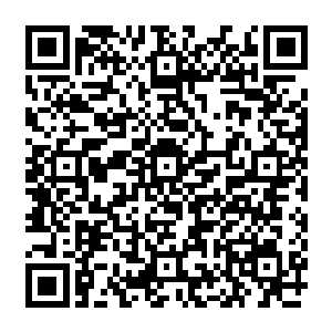 恐怕只有自然古神或者黎明之主的选民才能同时解决十二种诅咒并救回一个凡人的性命二维码生成