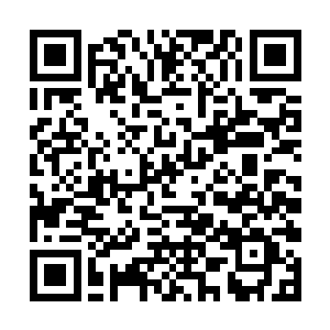 恐怕她在当年就真的和肚子里的南南一块丧生火海了二维码生成