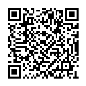 恐怕就会在这上万的师弟和师妹的面前丢尽面子二维码生成