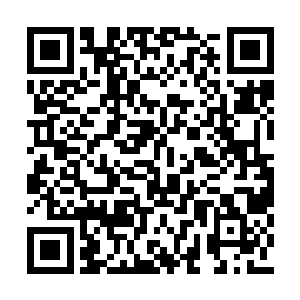 恐怕就会对神御主宰的飞行能力有着巨大的增幅二维码生成