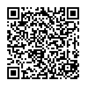 恐怕就会有刑部的人过来试探……这件事情左文轩不能说得太清楚二维码生成