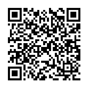 恐怕就是刚才那个游护法所说的暗皇神殿的青龙殿二维码生成