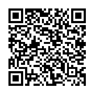 恐怕就是大圣主亲自上前也未必能够降服这些仙剑二维码生成