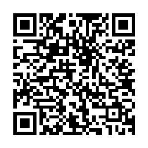 恐怕就是对上筑基期六层以下的修者也会给对方造成一定的伤害二维码生成