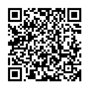 恐怕就是所有的修士联手也要伤亡大半才能够将这个混沌兽杀死二维码生成