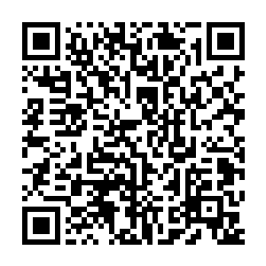 恐怕就算他浪费所有的时间在这里也无法掌握圣阶战技的一点毛皮二维码生成