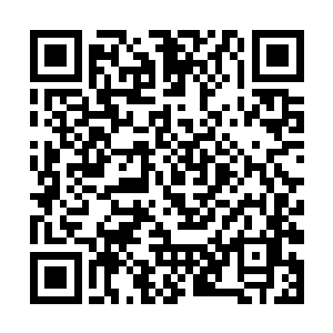 恐怕就算是大乘期的修真者恐怕也不敢轻易的面对吧二维码生成