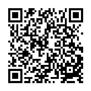 恐怕就算是大帝境界的高手见到也会彻底的疯狂的二维码生成