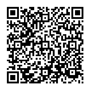 恐怕就算是菩提空间之中的那一朵最大的菩提金莲只怕也比不上自己身上的生命之源二维码生成