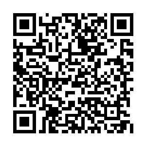 恐怕已经与凌森在杀戮领域中进行了激烈的交手二维码生成