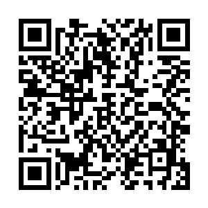 恐怕很大程度上就是因为委托者并不喜欢自己给她完成任务二维码生成