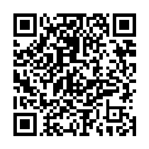 恐怕很难有人能够分清楚丁羽的衣服跟普通衣服有什么区别二维码生成