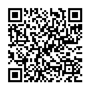 恐怕我记不起来了――但我真的觉得我们曾经见过二维码生成