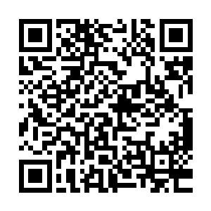 恐怕整个太夏也找不到第二个能用这种速度吸收地元水晶的人二维码生成