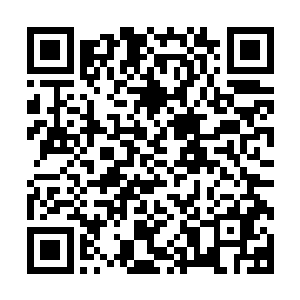 恐怕整个新生运动会所有的男子项目冠军都会被林烽给承包了二维码生成