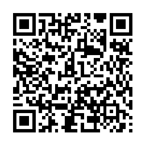 恐怕整个海族最终能够存活下来的数目就更加少了二维码生成