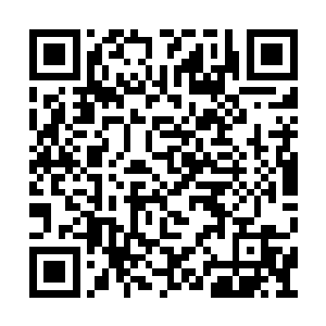 恐怕整个海洋当中鲨化鱼人的领地都要缩水九成二维码生成