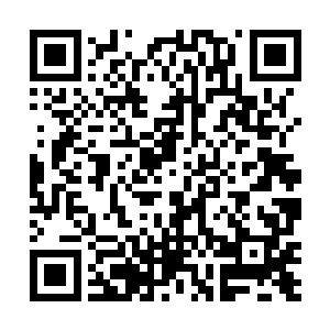 恐怕整个淮南乃至江东一带的人才都会蜂拥来投向孙家二维码生成