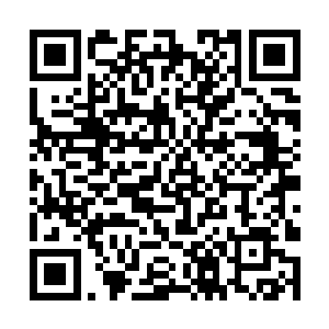 恐怕旨在试探雪雪身边到底有没有一个保护的人存在二维码生成