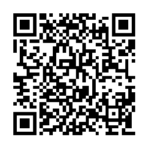 恐怕早被东北水域和西南水域的妖神派兵侵夺了二维码生成