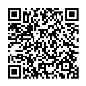 恐怕明天亡魂阵营就会派大量的领主潜伏我们这边阵营了二维码生成
