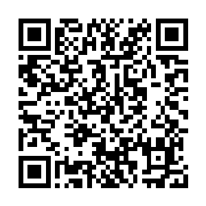 恐怕是……帝境强者留下的血液才有如此威力吧二维码生成