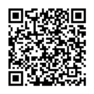 恐怕此人就是剑尘口中所说的烈焰佣兵团第一任团长了二维码生成