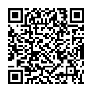 恐怕比他高几个等级修为的人也未必是他的对手二维码生成