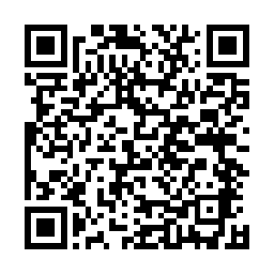 恐怕流墨墨她们还无法相信瑞亚竟是远古金龙族的直系血脉二维码生成