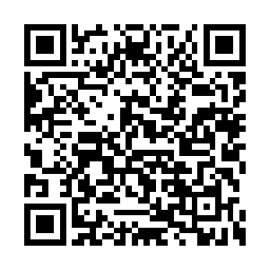 恐怕现在也成为了周天宇宙唯一幸存的地方了吧二维码生成