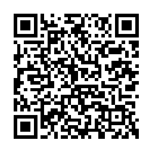 恐怕现在跑都跑不出来等到他们缩小包围网之后二维码生成