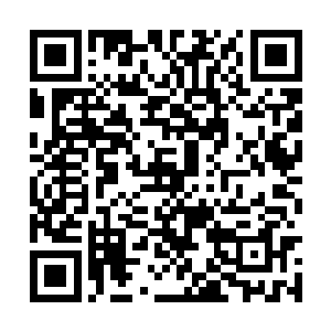 恐怕琴箫真的要在这里当着这么多人的面揍他一顿二维码生成