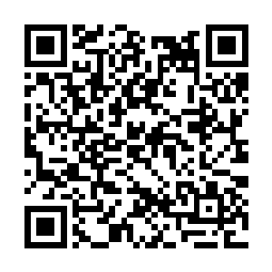 恐怕用不了多久就能够成为一个蓝级七品制符师了二维码生成